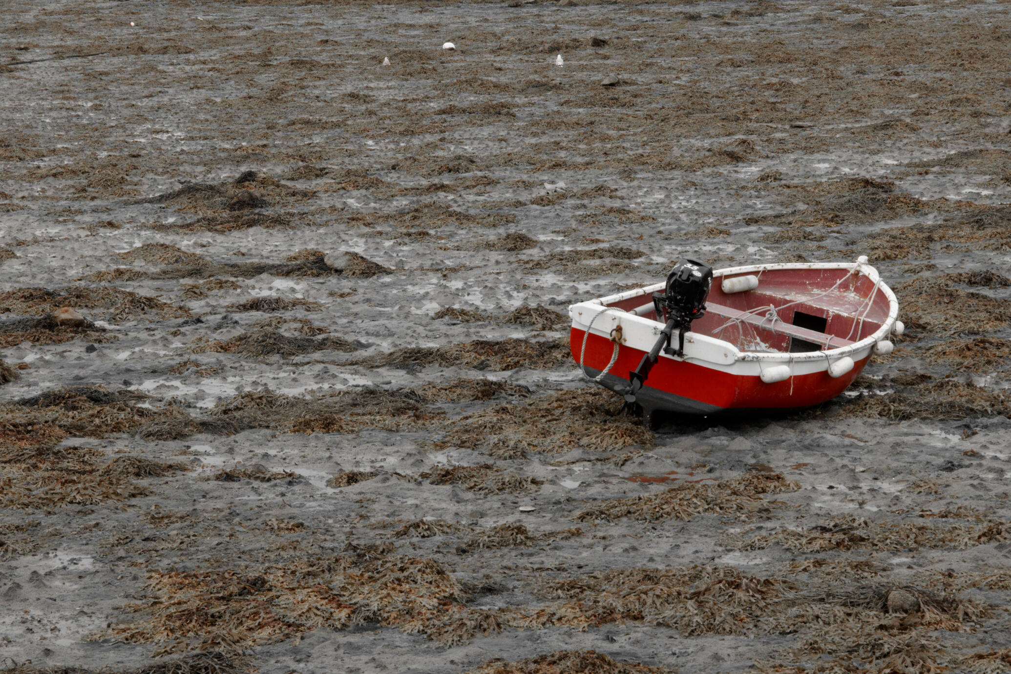 Where is the sea? - Brittany