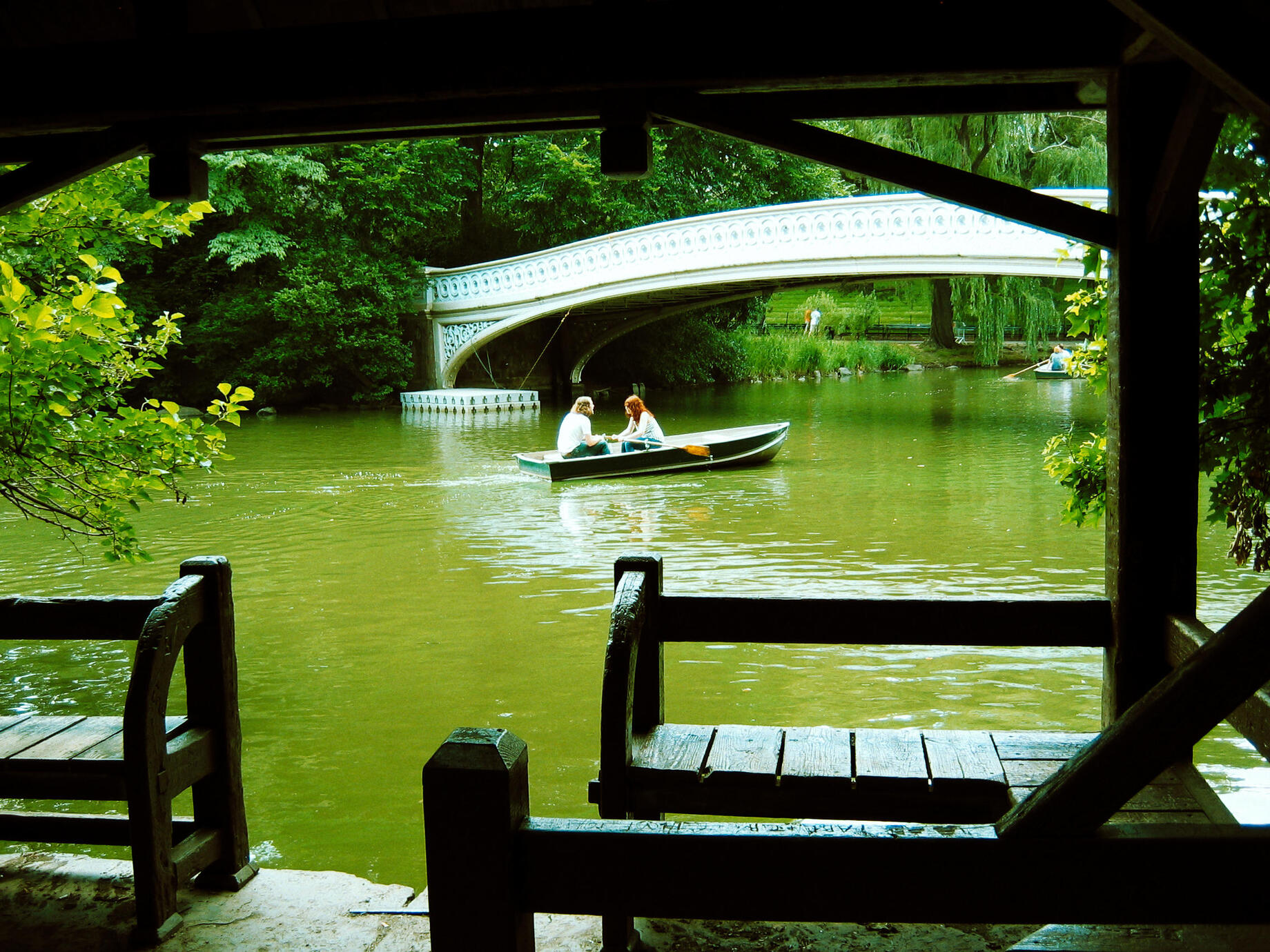 Green paradise - Central Park New York