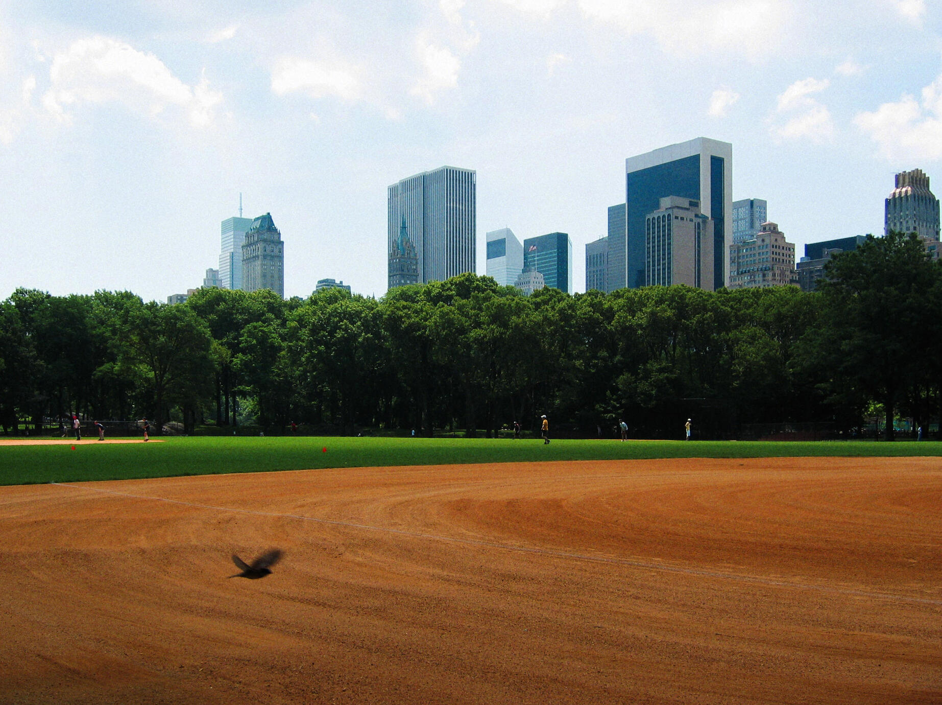 Urban harmony - Central Park New York