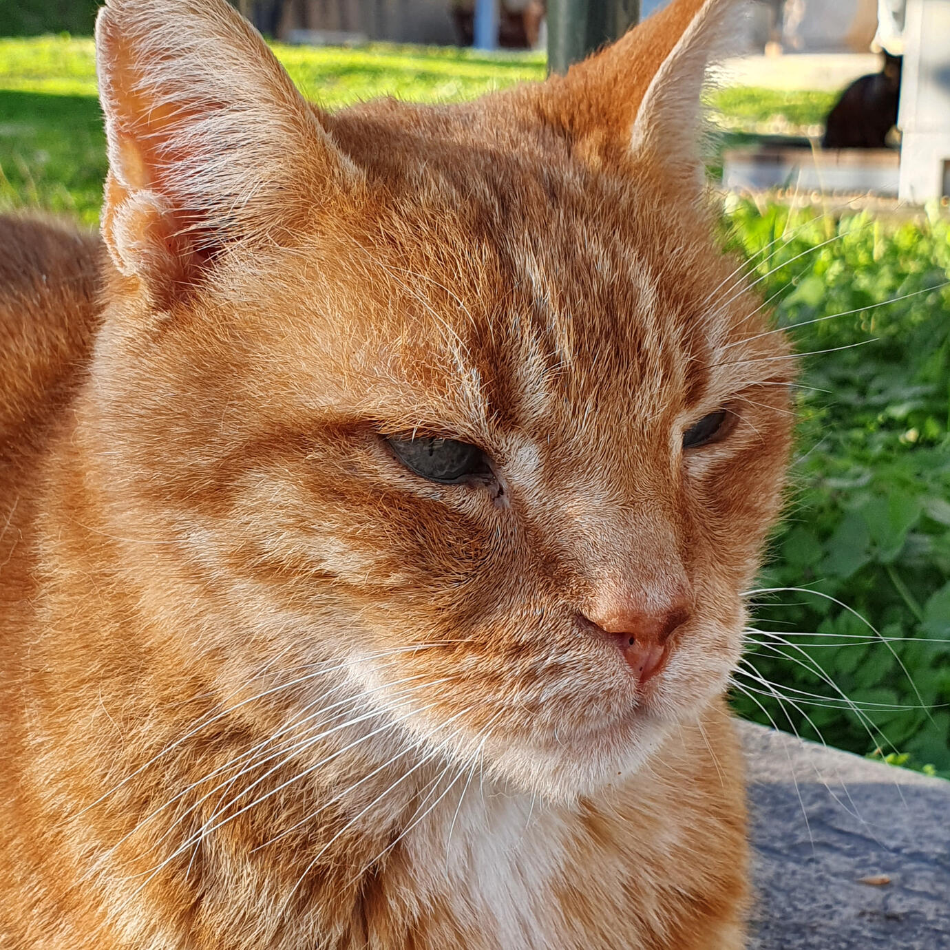 Why so serious - Athens