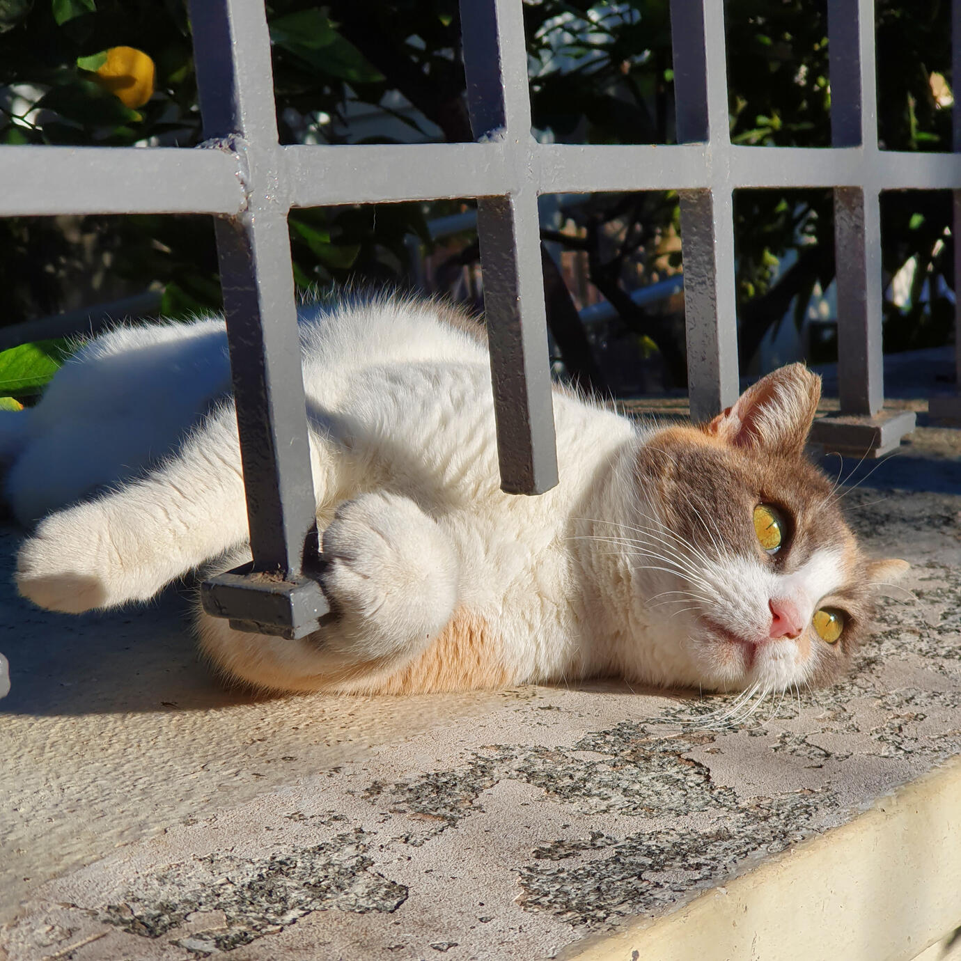 Not sure what I want to do - Athens