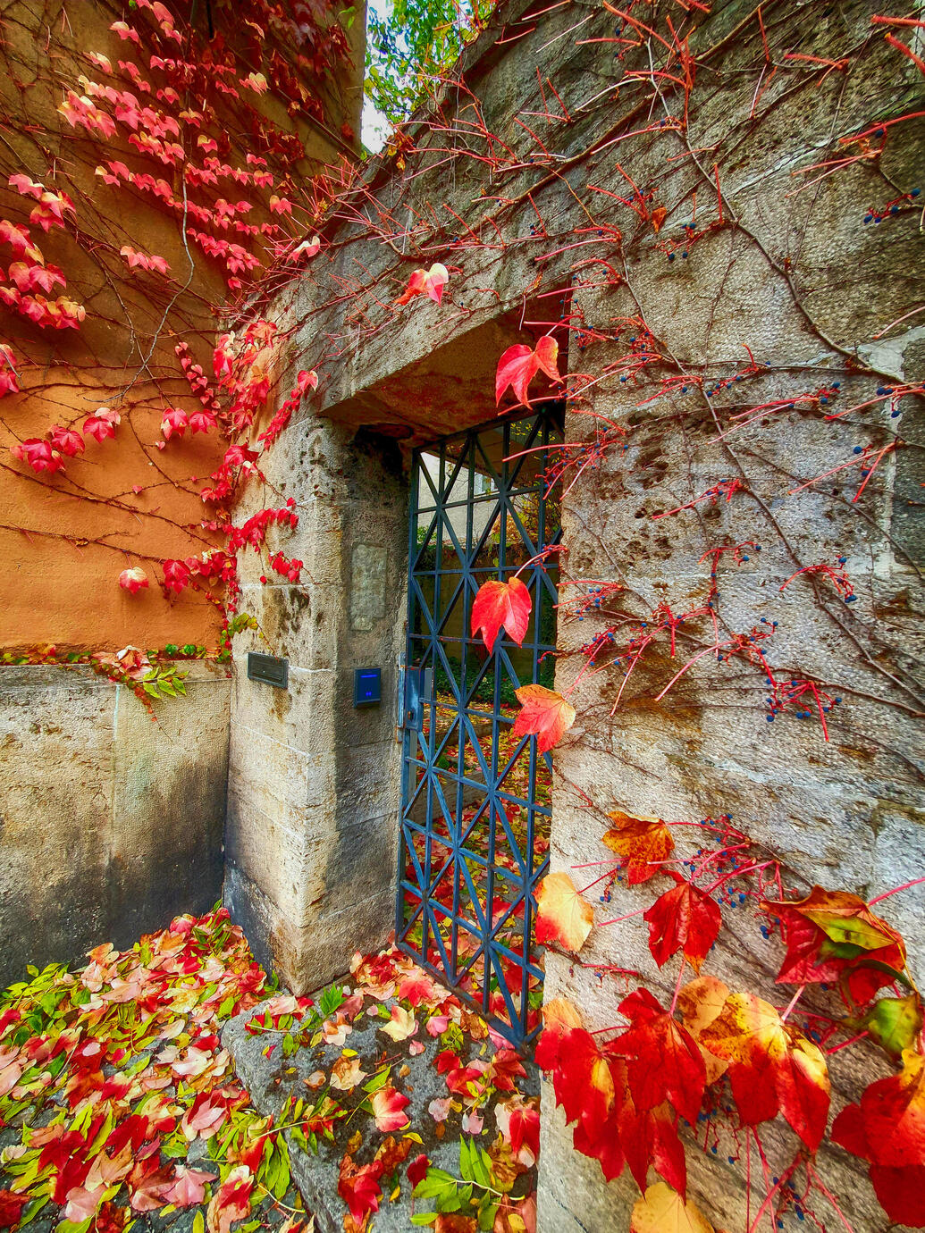 Autumn came to my door - Munich